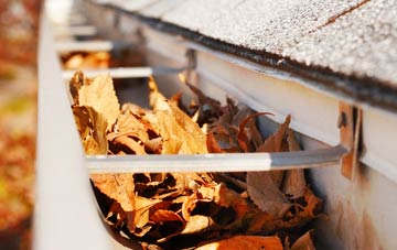 Longhedge gutter cleaning companies