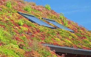 Longhedge living roof systems