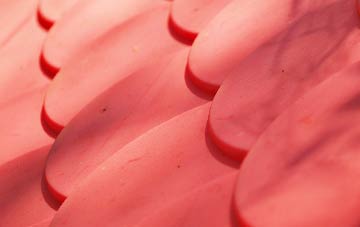 Longhedge plastic roof costs