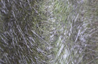 Longhedge fibreglass roof work